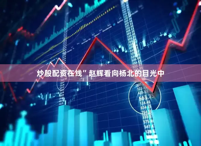 炒股配资在线”赵辉看向杨北的目光中